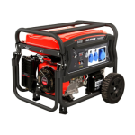 GENERATORE DI CORRENTE 230V - 50Hz DUNSCH 4 TEMPI OHV 420cc - DU75420-540